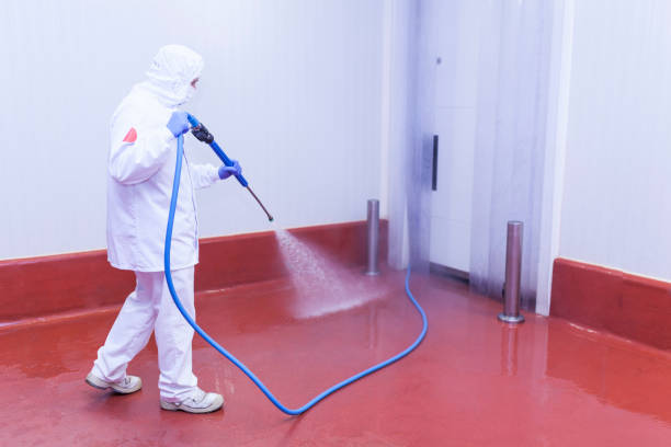 Best Sidewalk and Walkway Cleaning  in Lincoln Village, CA